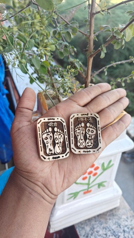 Shree Ji and Thakurji Tulsi charan seva