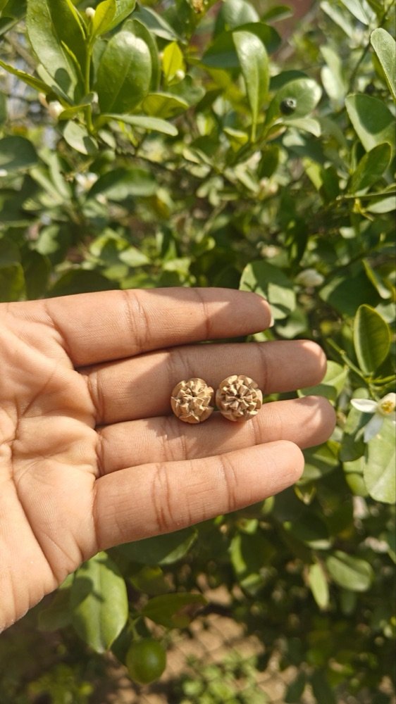 Handcrafted Original Tulsi Studs – Pure & Sacred from Vrindavan